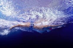 Funky Trunks - Bone Head Mens Plain Front Trunks 13 Funky Trunks - Bone Head Mens Plain Front Trunks -Funky Trunks Swim Gear Store funky trunks bone head mens plain front trunks 7