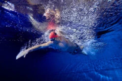 Funky Trunks - Bone Head Mens Plain Front Trunks 15 Funky Trunks - Bone Head Mens Plain Front Trunks -Funky Trunks Swim Gear Store funky trunks bone head mens plain front trunks 9