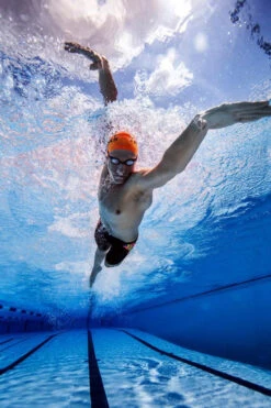 Funky Trunks - Clockwork Orange Boys Jammers -Funky Trunks Swim Gear Store funky trunks boys swimwear clockwork orange jammers 4