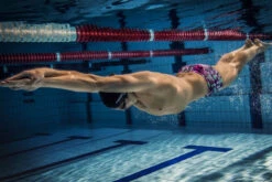 Funky Trunks - Baby Come On Mens Classic Trunks 7 Funky Trunks - Baby Come On Mens Classic Trunks -Funky Trunks Swim Gear Store funky trunks mens swimwear baby come on classic trunks 4