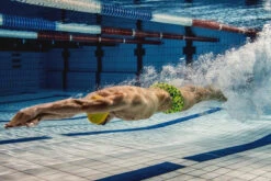 Funky Trunks - Golden Honeycomb Mens Classic Trunk -Funky Trunks Swim Gear Store funky trunks mens swimwear classic trunk golden honeycomb 6