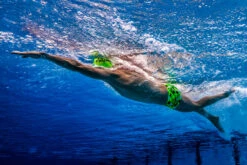 Funky Trunks - Golden Glow - Mens Classic Trunks -Funky Trunks Swim Gear Store funky trunks mens swimwear golden glow classic trunks 6