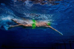 Funky Trunks - Golden Glow - Mens Classic Trunks -Funky Trunks Swim Gear Store funky trunks mens swimwear golden glow classic trunks 7