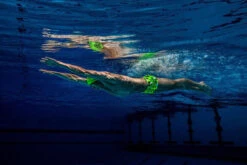 Funky Trunks - Golden Glow - Mens Classic Trunks -Funky Trunks Swim Gear Store funky trunks mens swimwear golden glow classic trunks 8