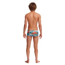 Funky Trunks - Misty Mountain - Boys Classic Trunks -Funky Trunks Swim Gear Store funky trunks misty mountain boys classic trunks 3
