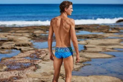 Funky Trunks - Purry Palm - Mens Sidewinder Trunks -Funky Trunks Swim Gear Store funky trunks purry palm mens sidewinder trunks 7