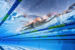 Funky Trunks - Royal Fleet - Mens Sidewinder Trunks -Funky Trunks Swim Gear Store funky trunks royal fleet mens sidewinder trunks 9