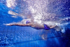 Funky Trunks - Rusted - Mens Training Jammers 16 Funky Trunks - Rusted - Mens Training Jammers -Funky Trunks Swim Gear Store funky trunks rusted mens training jammers 8