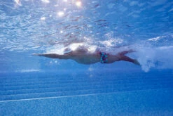 Funky Trunks - Sunset Strip - Mens Plain Front Trunks -Funky Trunks Swim Gear Store funky trunks sunset strip mens plain front trunks 11