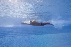 Funky Trunks - Sunset Strip - Mens Plain Front Trunks -Funky Trunks Swim Gear Store funky trunks sunset strip mens plain front trunks 9