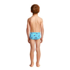 Funky Trunks - Tweety Tweet Toddler Boys Printed Trunk 7 Funky Trunks - Tweety Tweet Toddler Boys Printed Trunk -Funky Trunks Swim Gear Store funky trunks tweety tweet boys toddler printed trunk 3