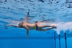 Funky Trunks - Wing It - Mens Plain Front Trunks -Funky Trunks Swim Gear Store funky trunks wing it mens plain front trunks 10