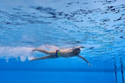 Funky Trunks - Wing It - Mens Plain Front Trunks -Funky Trunks Swim Gear Store funky trunks wing it mens plain front trunks 11