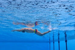 Funky Trunks - Wing It - Mens Plain Front Trunks -Funky Trunks Swim Gear Store funky trunks wing it mens plain front trunks 12